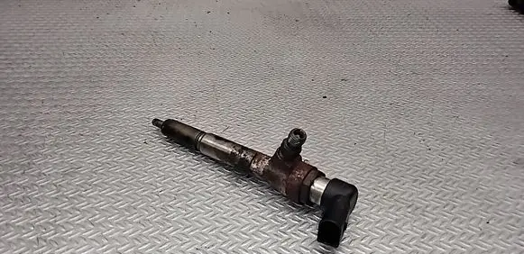 Nissan Qashqai Fuel injector H8200294788