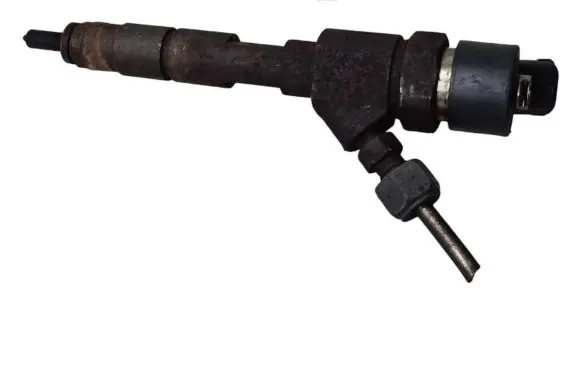 Renault Kangoo II Fuel injector 8200100272 0445110110