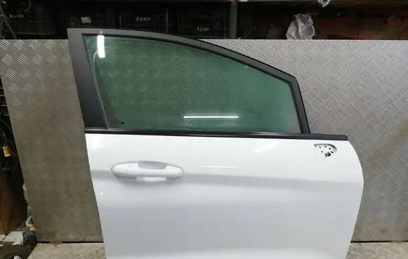 Ford Fiesta Front door 