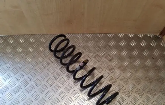 Ford Focus Rear coil spring