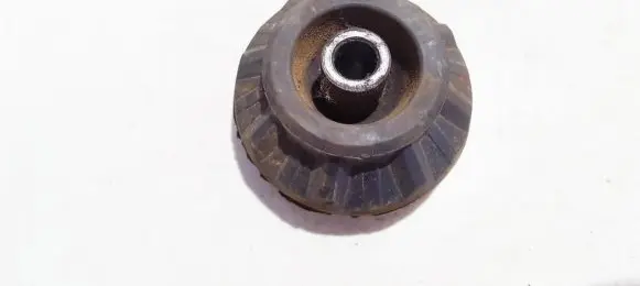 Coil spring mount