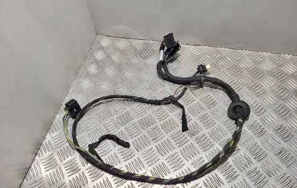 Front door wiring loom