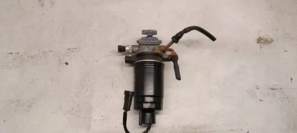 KIA Ceed Fuel filter FFF2813