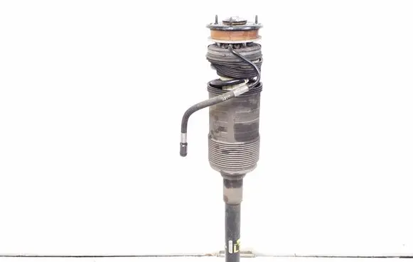Mercedes-Benz CL C216 Shock absorber/damper/air suspension A2213208913