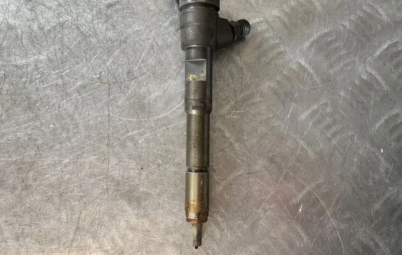 Renault Kangoo II Fuel injector 8201108033 0445110485 H8201108033
