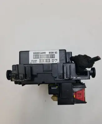 Peugeot 206 Fuse module 9650664080 32070386 BSMB3
