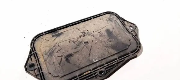 Volkswagen PASSAT B6 Headlight/headlamp dust cover 1k0941369a