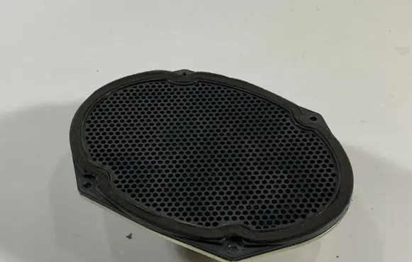 Ford Mustang V Front door speaker DR3T18808CB