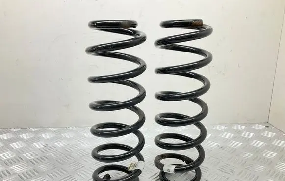 Rear coil spring
