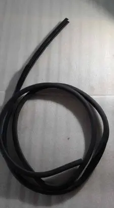 Nissan Leaf II (ZE1) Rubber seal rear door 