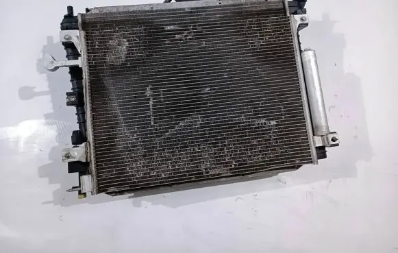 Ford Mustang V Coolant radiator