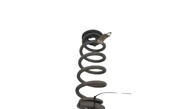 Ford Escape IV Rear coil spring LX615560 LX615560NAD CX482