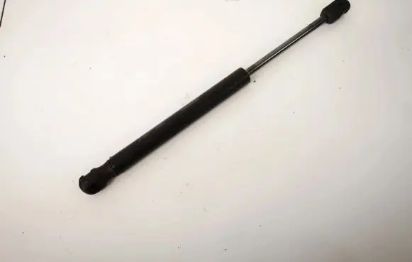 Chrysler 300 - 300C Tailgate/trunk strut/damper 205ge004