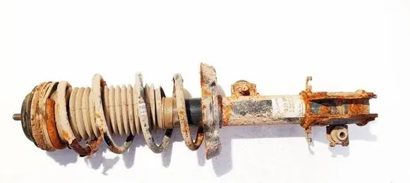 Opel Corsa D Front shock absorber/damper 313566