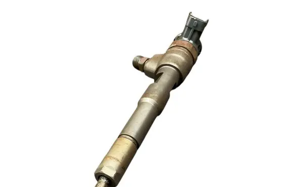 Renault Kangoo II Fuel injector 0445110485 H8201108033