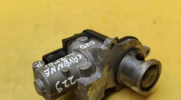 Porsche Cayenne (9PA) EGR valve