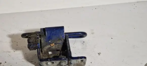 Volkswagen Golf V Front door lower hinge 