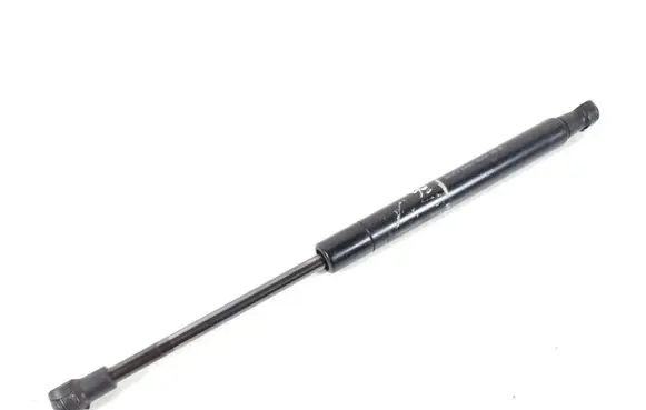 Tailgate strut