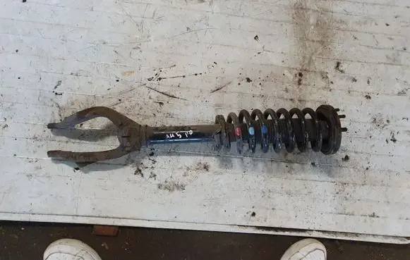 Honda Accord Front shock absorber with coil spring NOCODE