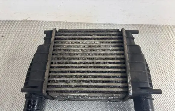 Nissan Juke I F15 Intercooler radiator 14461EM00A