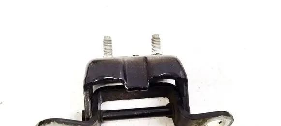Nissan Qashqai Rear door lower hinge