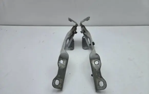 Toyota C-HR I Engine bonnet/hood hinges 