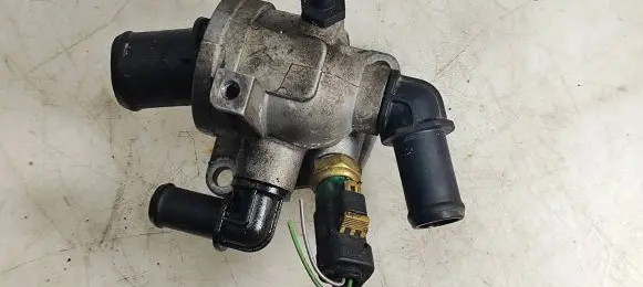 Thermostat/thermostat housing