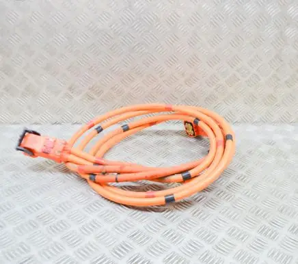 Tesla Model 3 Other wiring loom 110900300E