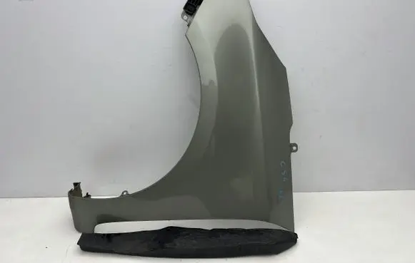 KIA Carens III Fender KIACARBLPLSUL1