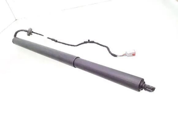 Tailgate/trunk strut/damper