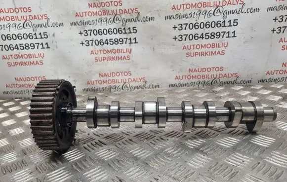 Volkswagen Sharan Camshaft 038109111E