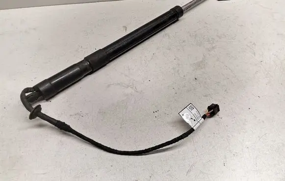 Tailgate strut
