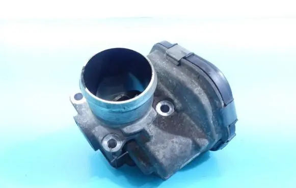 Throttle body valve