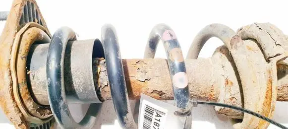 Rear coil spring