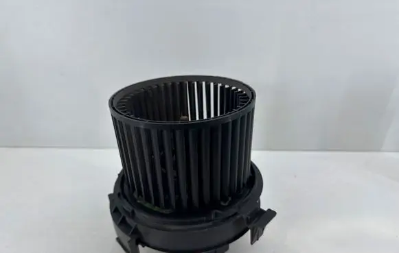 Dacia Duster Heater fan/blower N109038B
