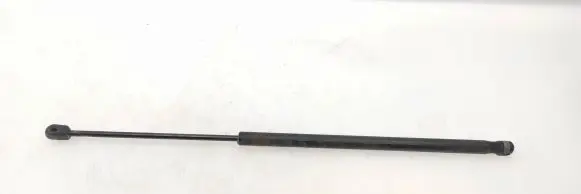 Tailgate strut