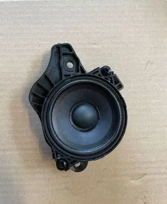 Rear door speaker
