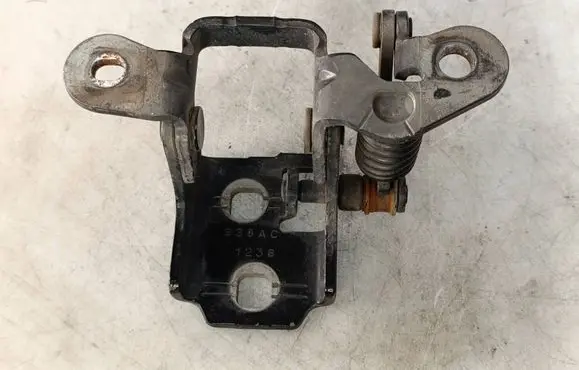 Rear door lower hinge