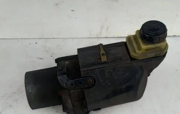 Renault Laguna III Power steering pump 491109313R