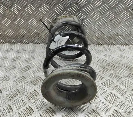 Tesla Model Y Rear coil spring 118847900A