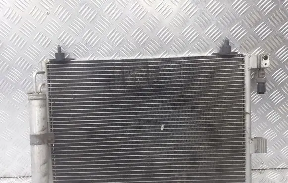 Citroen C5 Air conditioning (A/C) radiator (interior) 