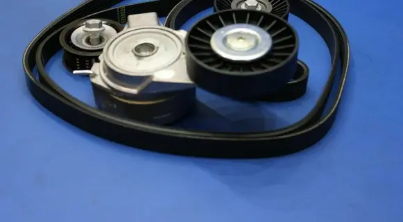 Saab 9-5 Timing belt VKMA34522 SKF