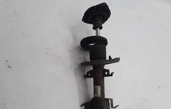 Renault Scenic III - Grand scenic III Front shock absorber/damper 543022646R