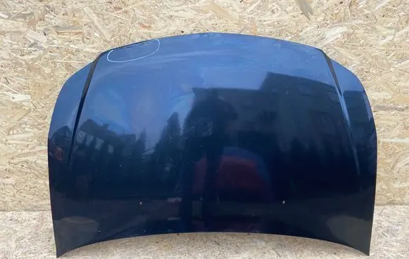 Engine bonnet/hood