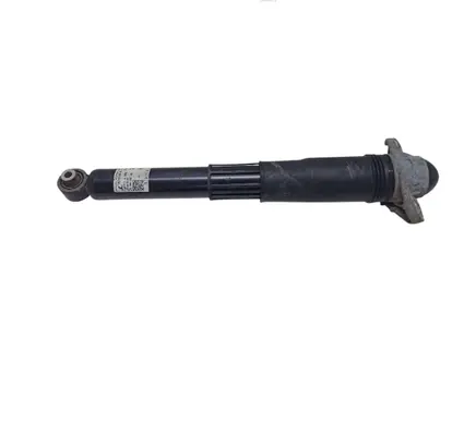 Volkswagen ID.4 Rear shock absorber/damper 1EA512013BD SBY06XZAAJ 8014040085