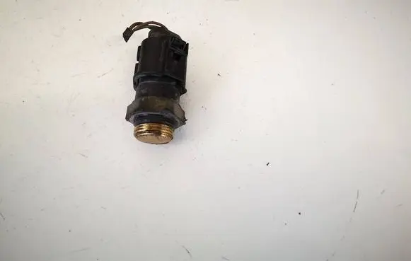 Skoda Roomster (5J) Coolant temperature sensor 