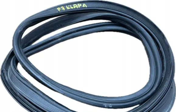 Dodge Charger Trunk rubber seal (body) 345632454