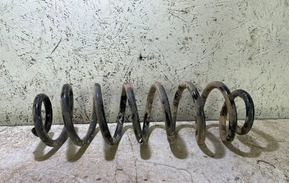 Rear coil spring