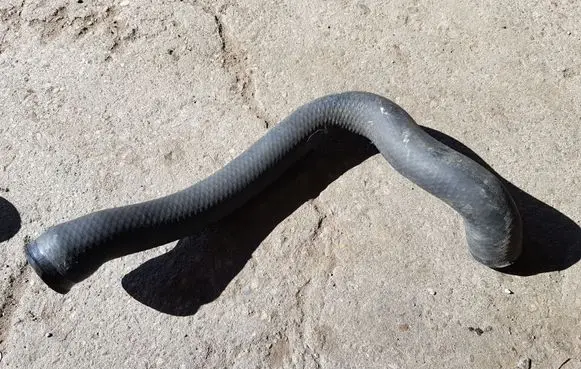 BMW 7 E38 Engine coolant pipe/hose 11531741409