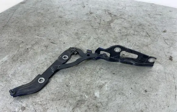 BMW 1 E82 E88 Tailgate/trunk/boot hinge 7166752